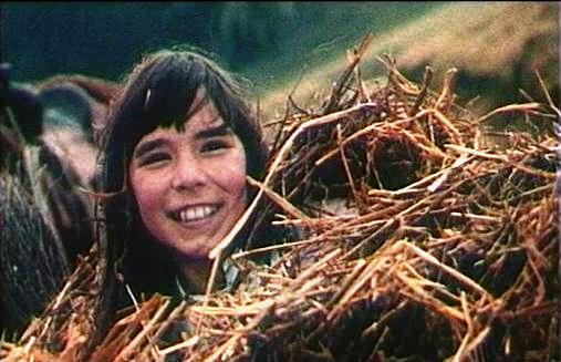 Пой, ковбой, пой / Sing, Cowboy, sing (1981): кадр из фильма