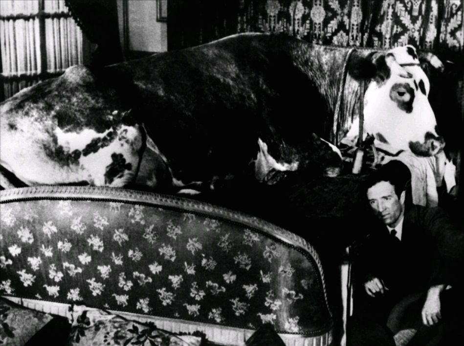 Золотой век / L’âge d’or (1930): кадр из фильма