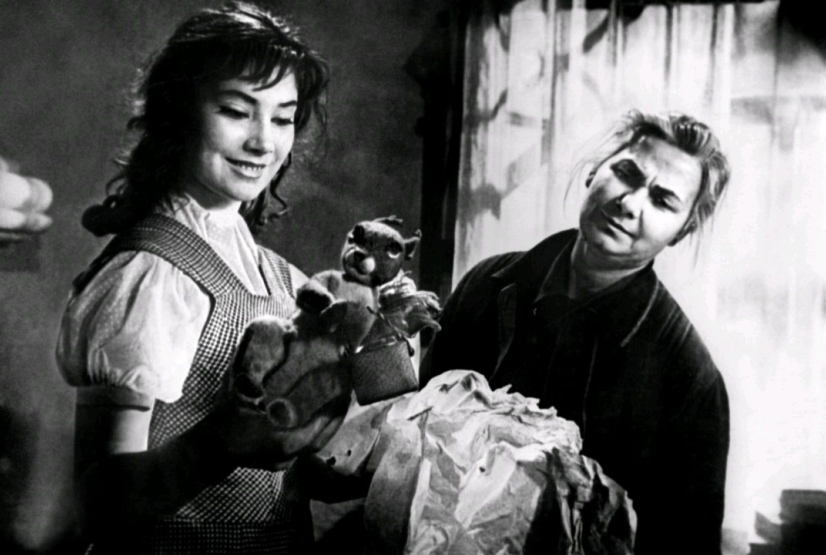 Летят журавли / Letyat zhuravli (1956): кадр из фильма