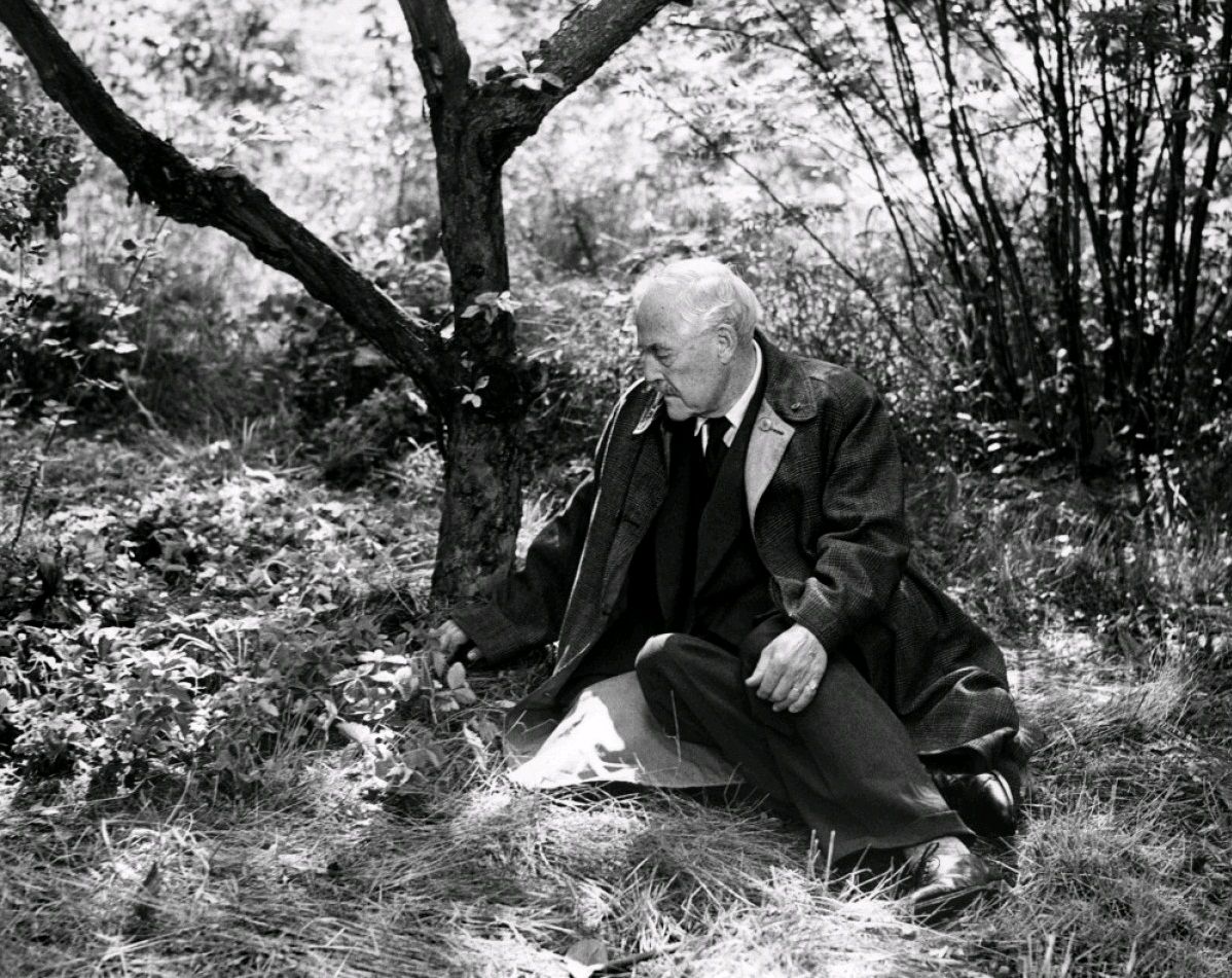 Земляничная поляна / Smultronstället (1957): кадр из фильма