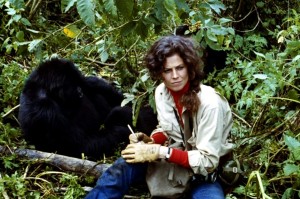 Гориллы в тумане / Gorillas in the Mist: The Story of Dian Fossey (1988): кадр из фильма