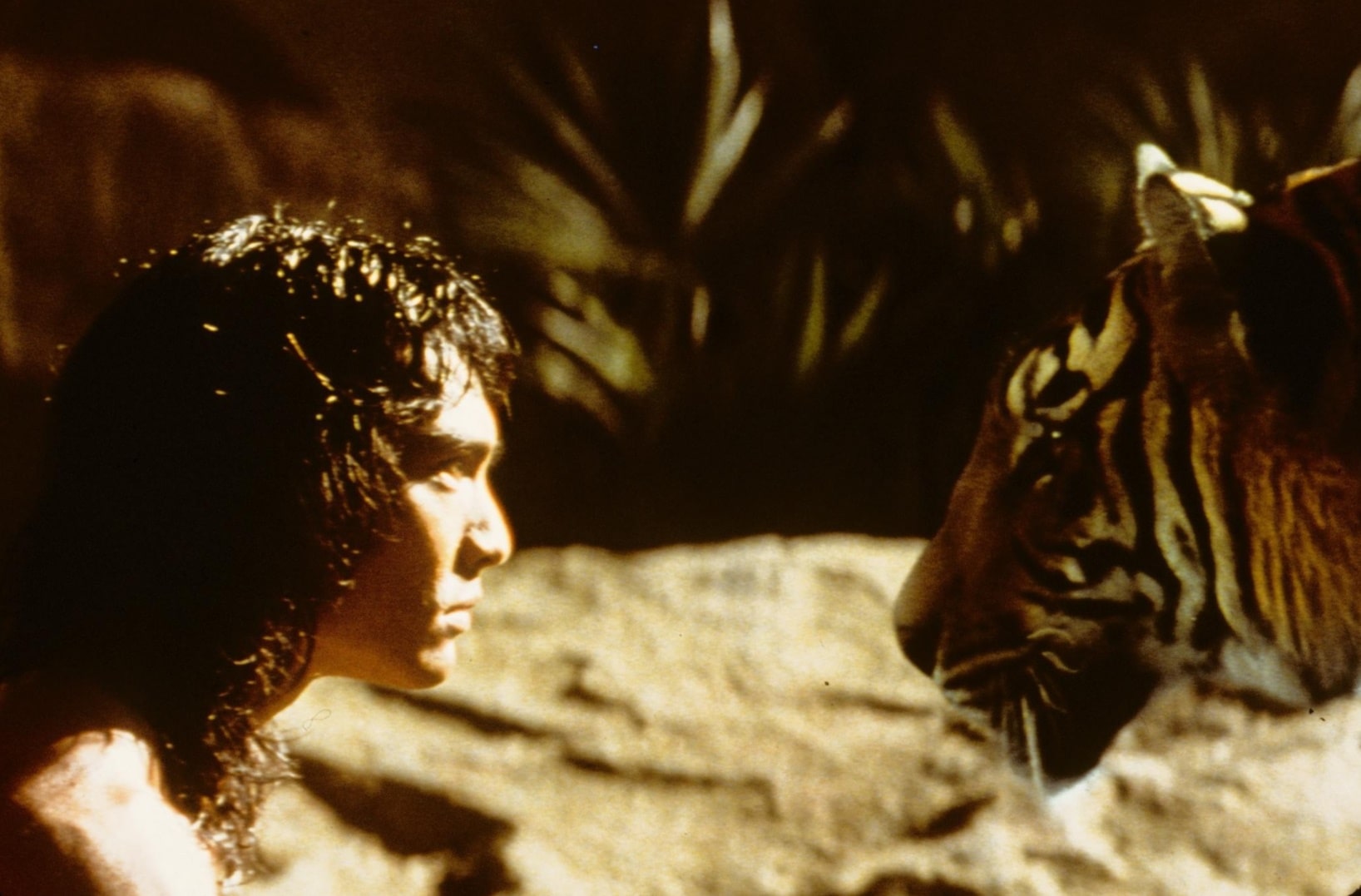 Книга джунглей / The Jungle Book (1994): кадр из фильма