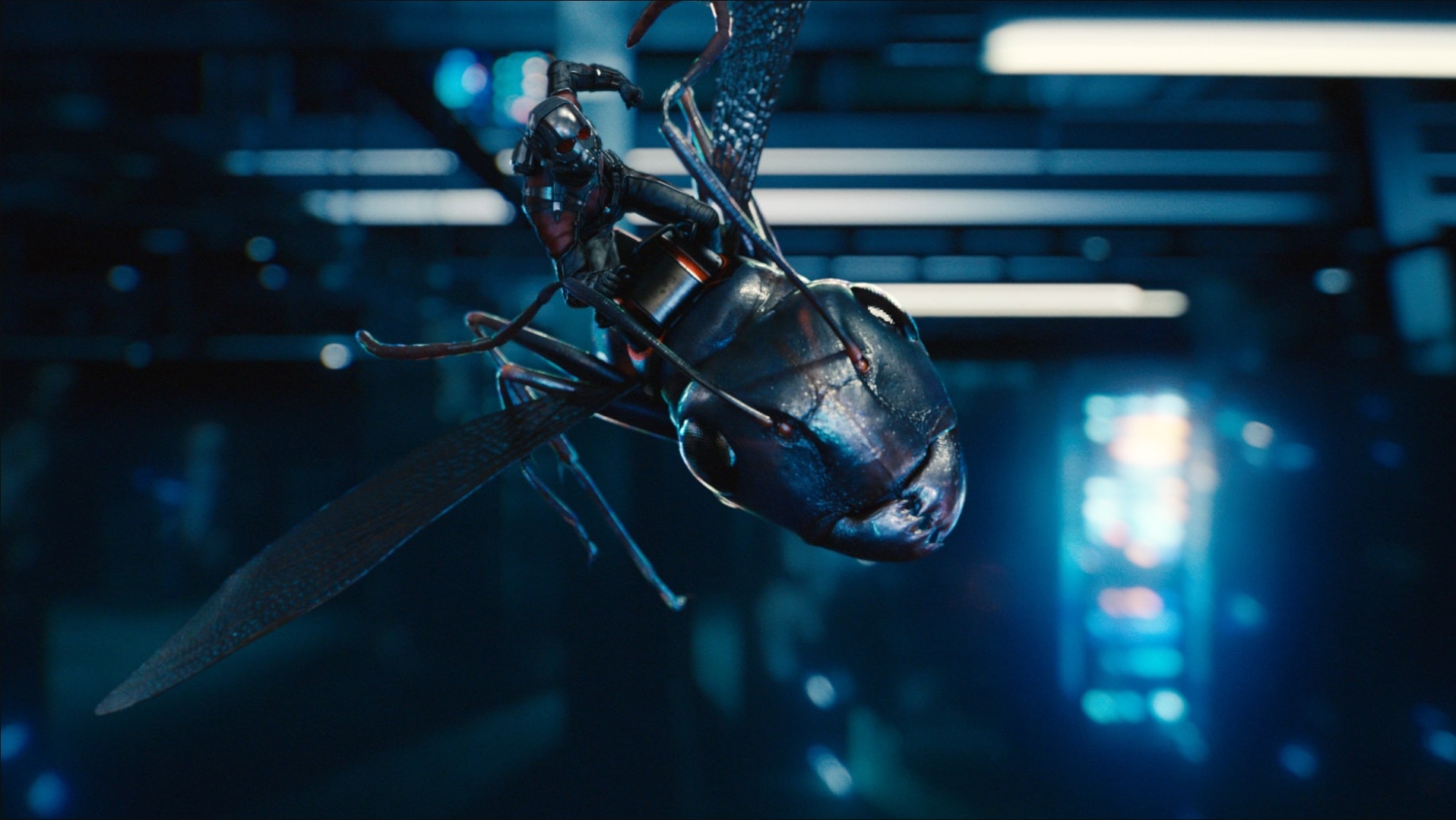 Человек-муравей / Ant-Man (2015): кадр из фильма