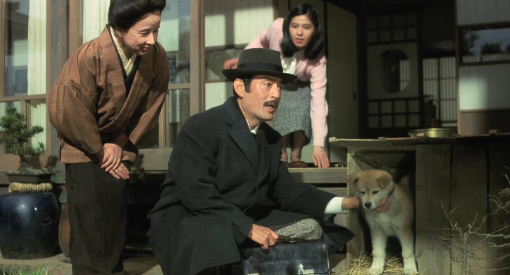История Хатико / Hachikô monogatari (1987): кадр из фильма