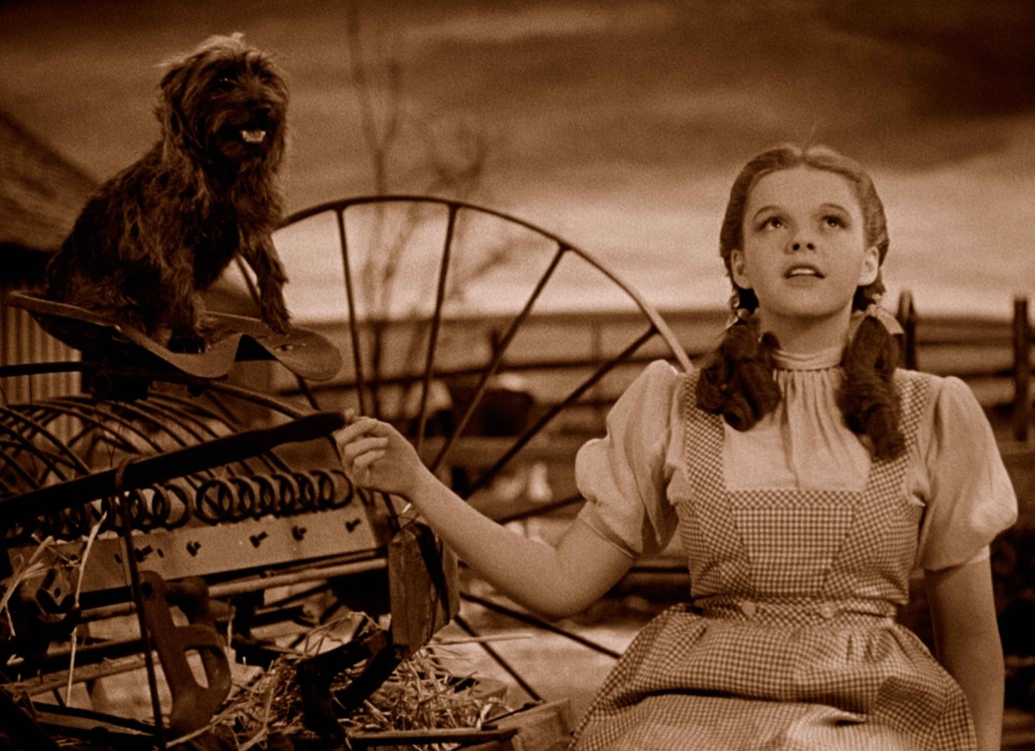 Волшебник страны Оз / The Wizard of Oz (1939): кадр из фильма