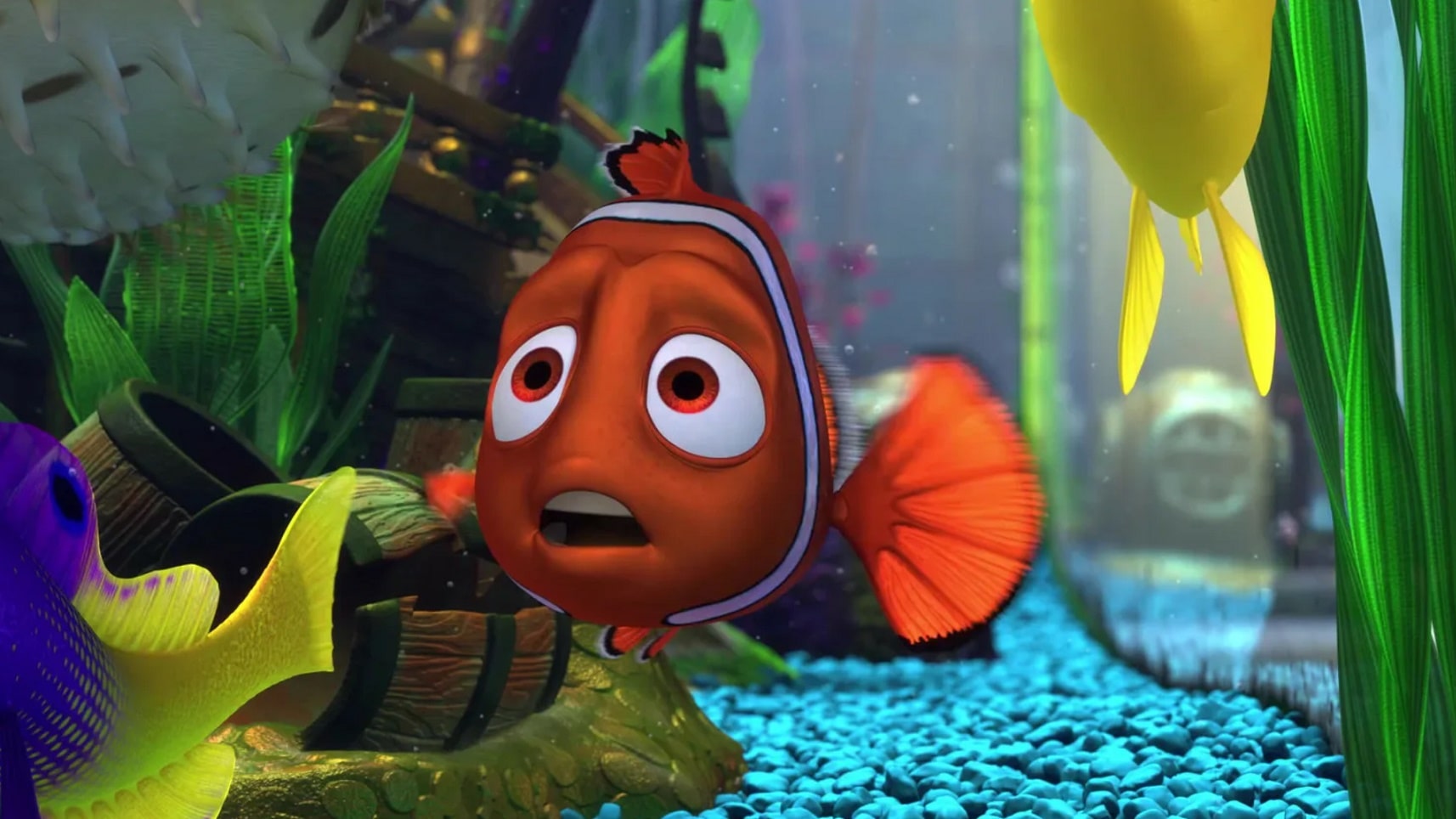 В поисках Немо / Finding Nemo (2003): кадр из фильма